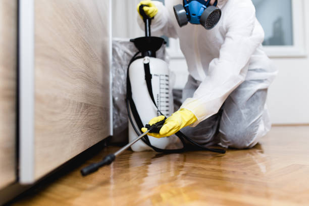 Best Mosquito Control Services  in Central City, PA