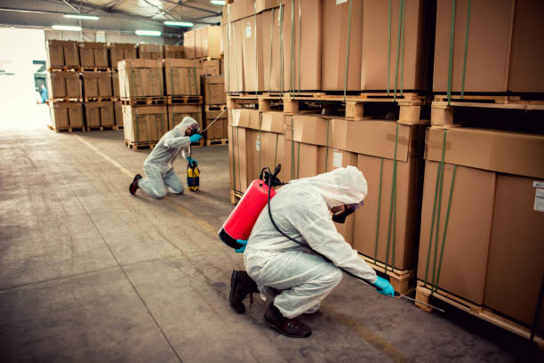 Best Best Pest Control Companies  in Central City, PA