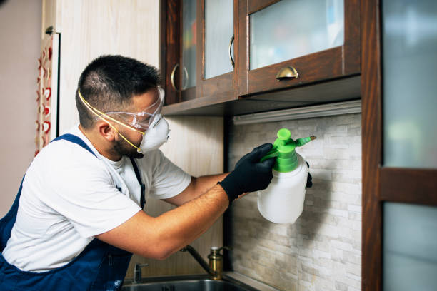 Best Local Pest Control Services  in Central City, PA