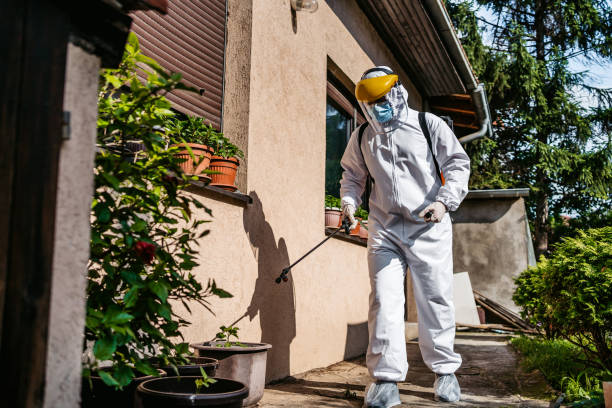 Best Rodent Control Near Me  in Central City, PA