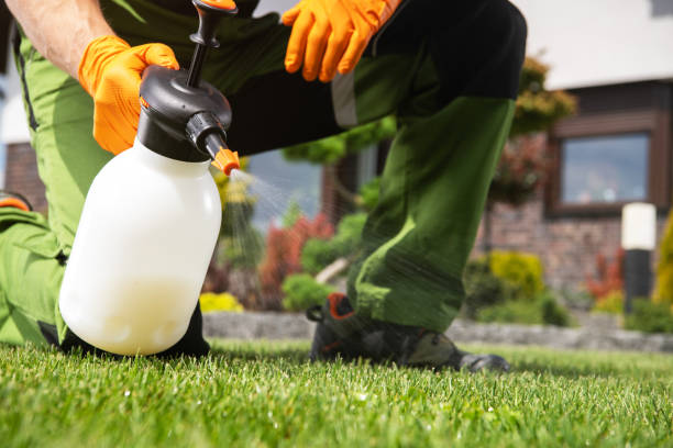 Best Pest Prevention Services  in Central City, PA
