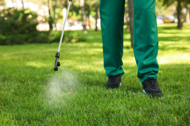 Best Bed Bug Extermination  in Central City, PA