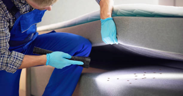 Best Mosquito Control Services  in Central City, PA