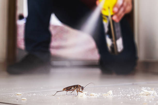 Best Wildlife Control Services  in Central City, PA