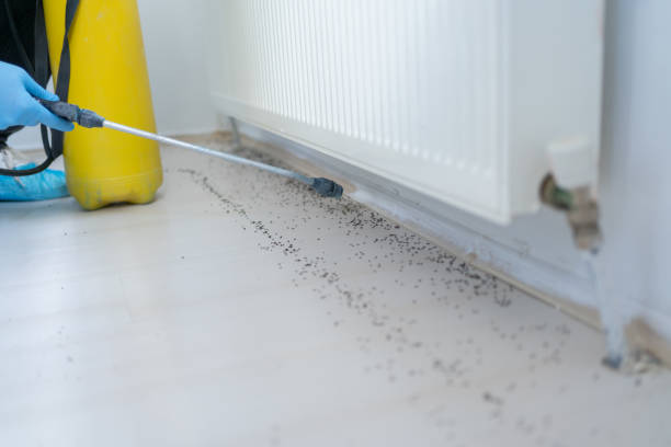 Central City, PA Pest Control Company