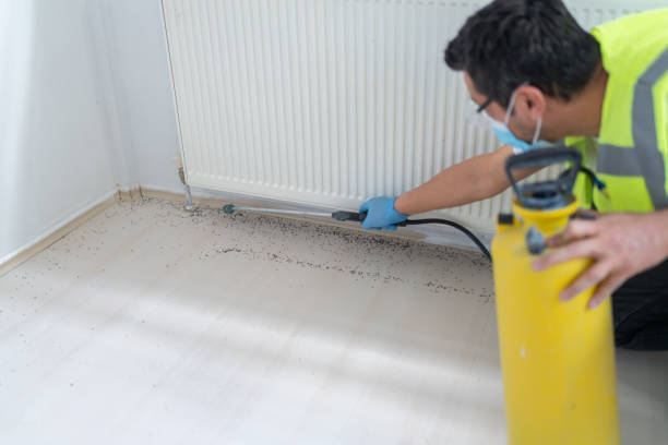Best Pest Removal Services  in Central City, PA