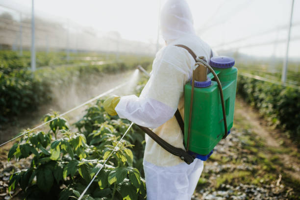 Best Pest Control Near Me  in Central City, PA